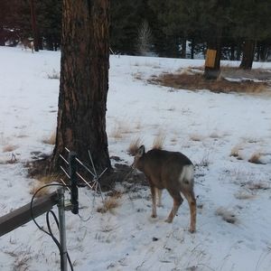 Meet your Posher, Delaney